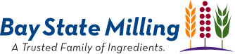 BSM Biller Logo