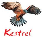KestrelLiner Biller Logo