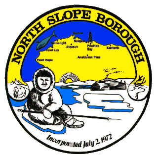 NSB Biller Logo